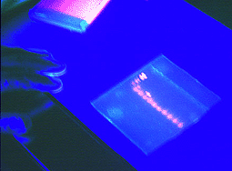 PCR