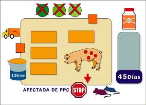 Graja afectada de PPC