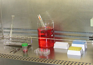 Equipamiento para aislamientos virales.