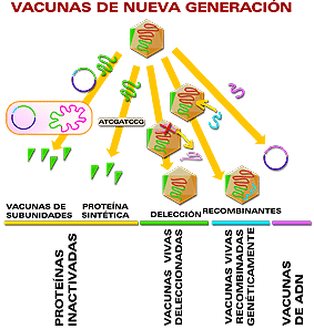 Vacunas de nueva generacin