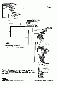 Pulse sobre la imagen para ampliarla