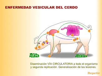 Pulse sobre la imagen para ampliar.