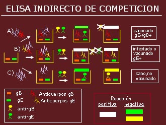 elisa