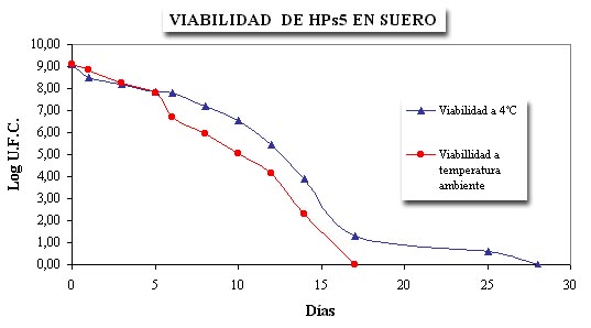 Viabilidad de HPs5 en suero