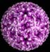virus