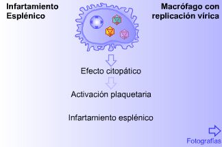 Pulse sobre la imagen para ampliar