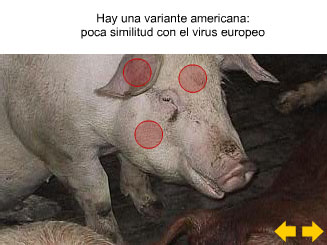 Pulse sobre la imagen para ver animaci&oacute;n.