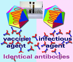 not distinguishing antibodies