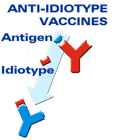 Anti-idiotype vaccines