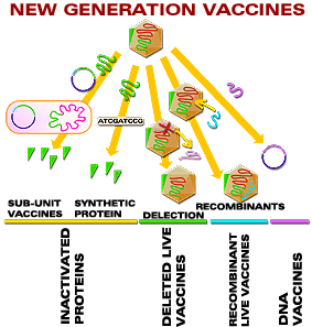 Vaccines of new