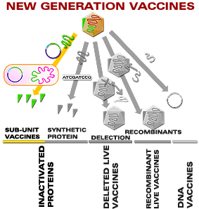 Sub-unit vaccines.