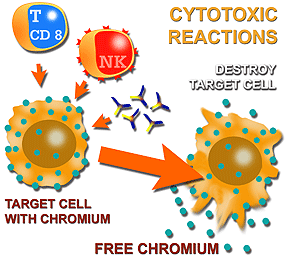 Cytotoxic reactions.