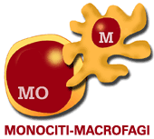 Monociti-macrofagi