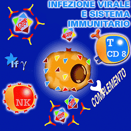 Diversi meccanismi immunitari 