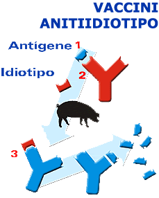 Vaccini antiidiotipo