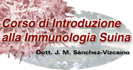 Corso di Introduzione alla Immunologia Suina.