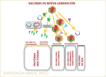 Vacunas de nueva generación.